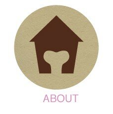 aboutcraft